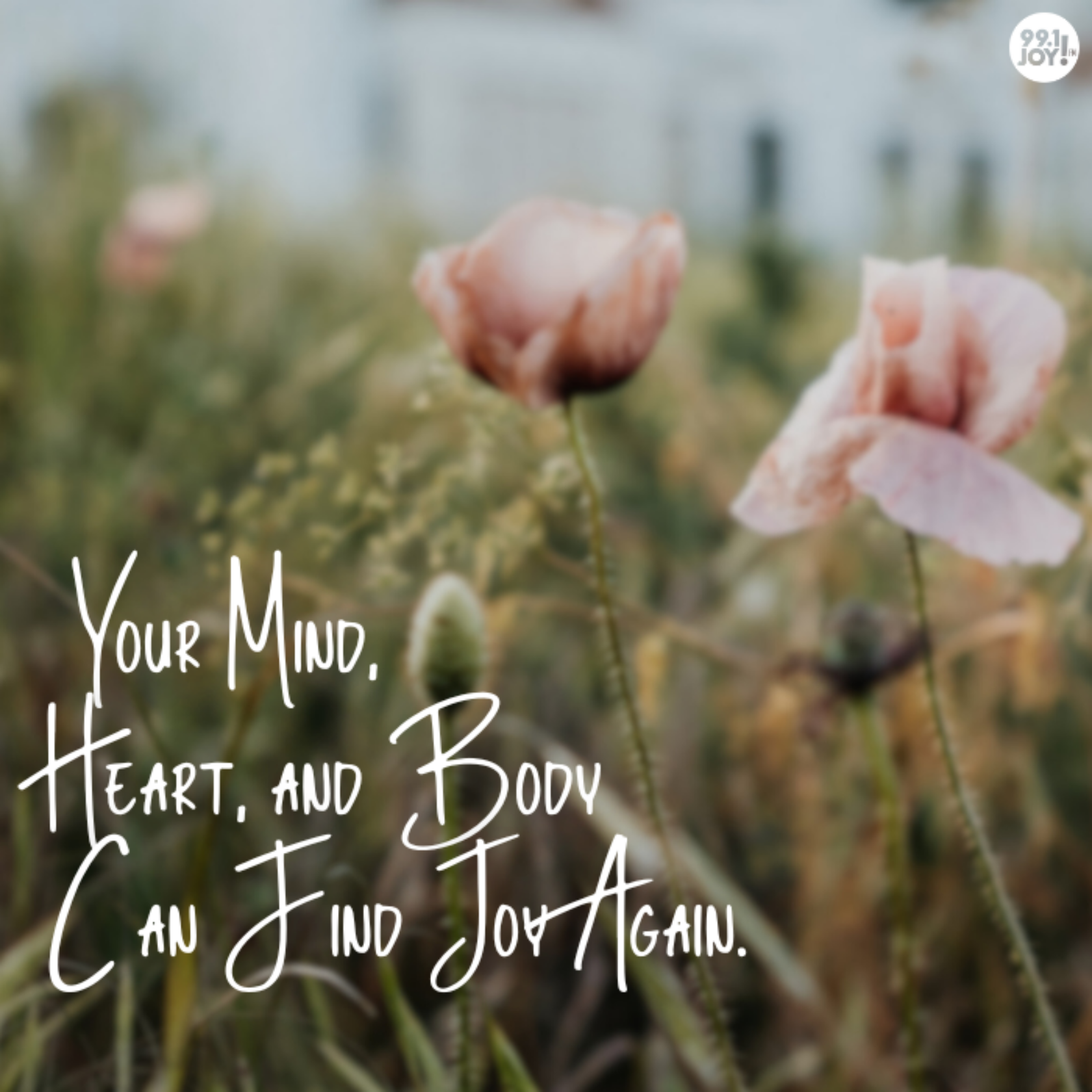 Your Mind, Heart, And Body Can Find Joy Again.