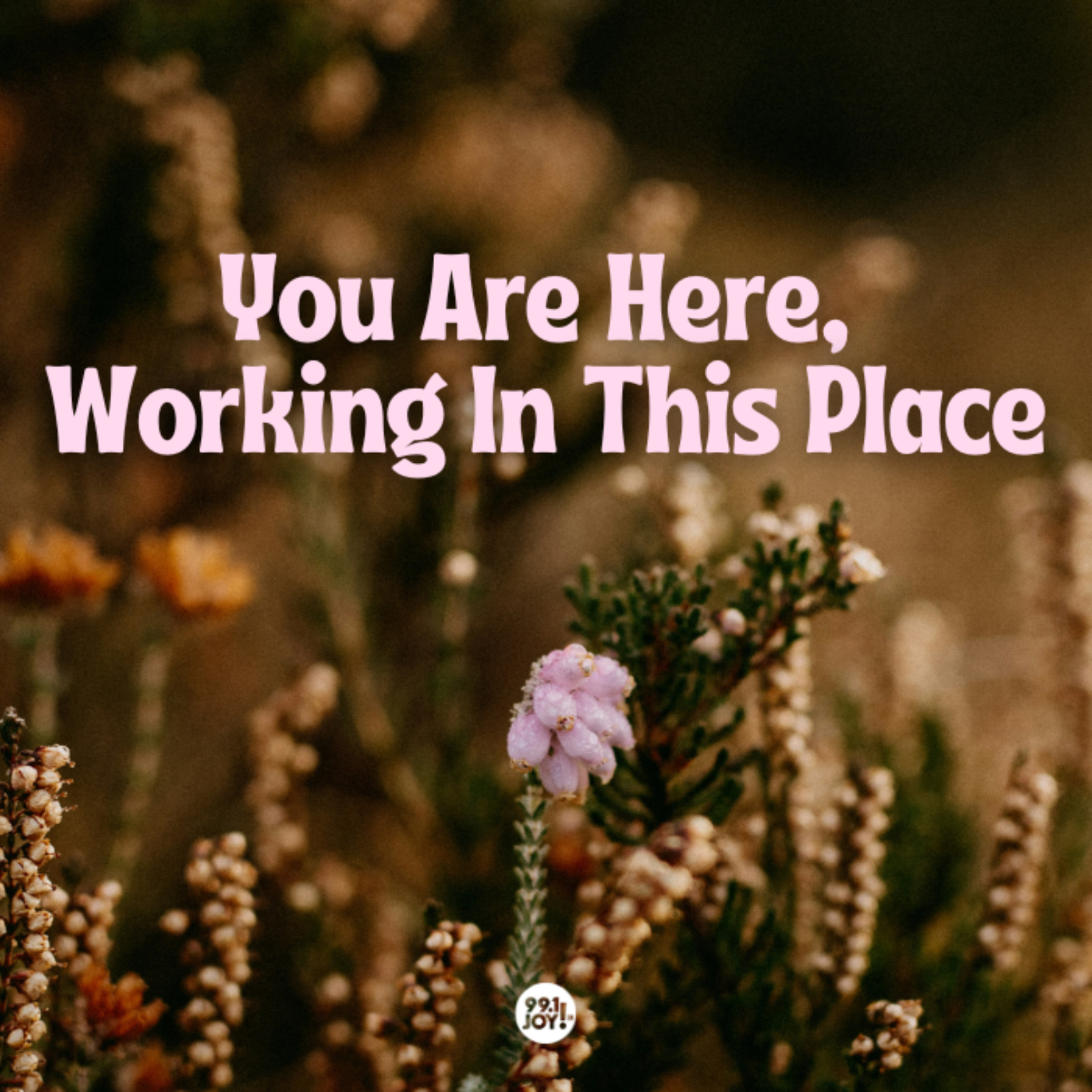 You Are Here, Working In This Place