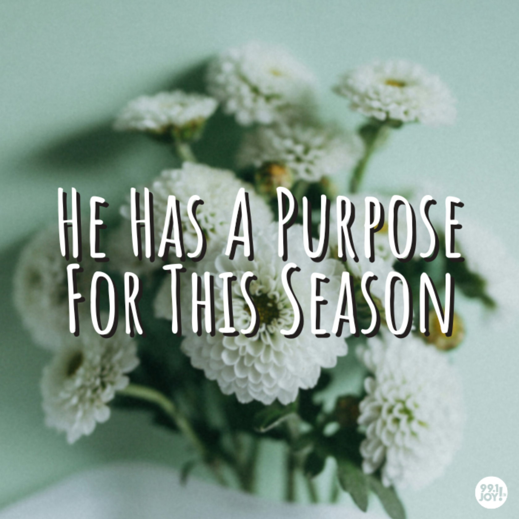 He Has A Purpose For This Season