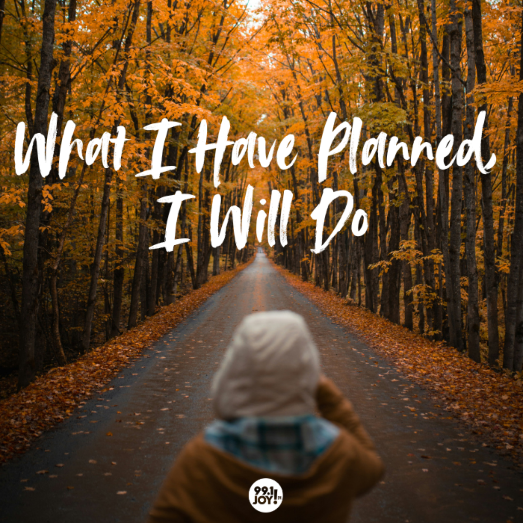 What I Have Planned, I Will Do